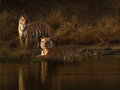 debjoy-biswas-KwwY3EBaMFQ-unsplash