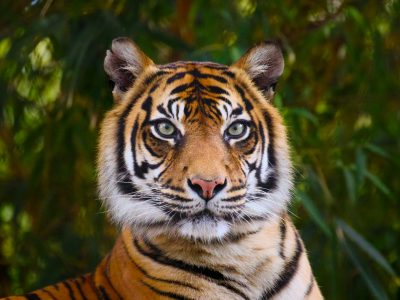 jack-mccracken-K0EY1UOMIWg-unsplash