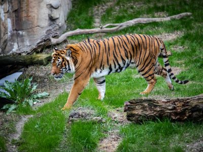 stephanie-leblanc-pp11qw5O44U-unsplash